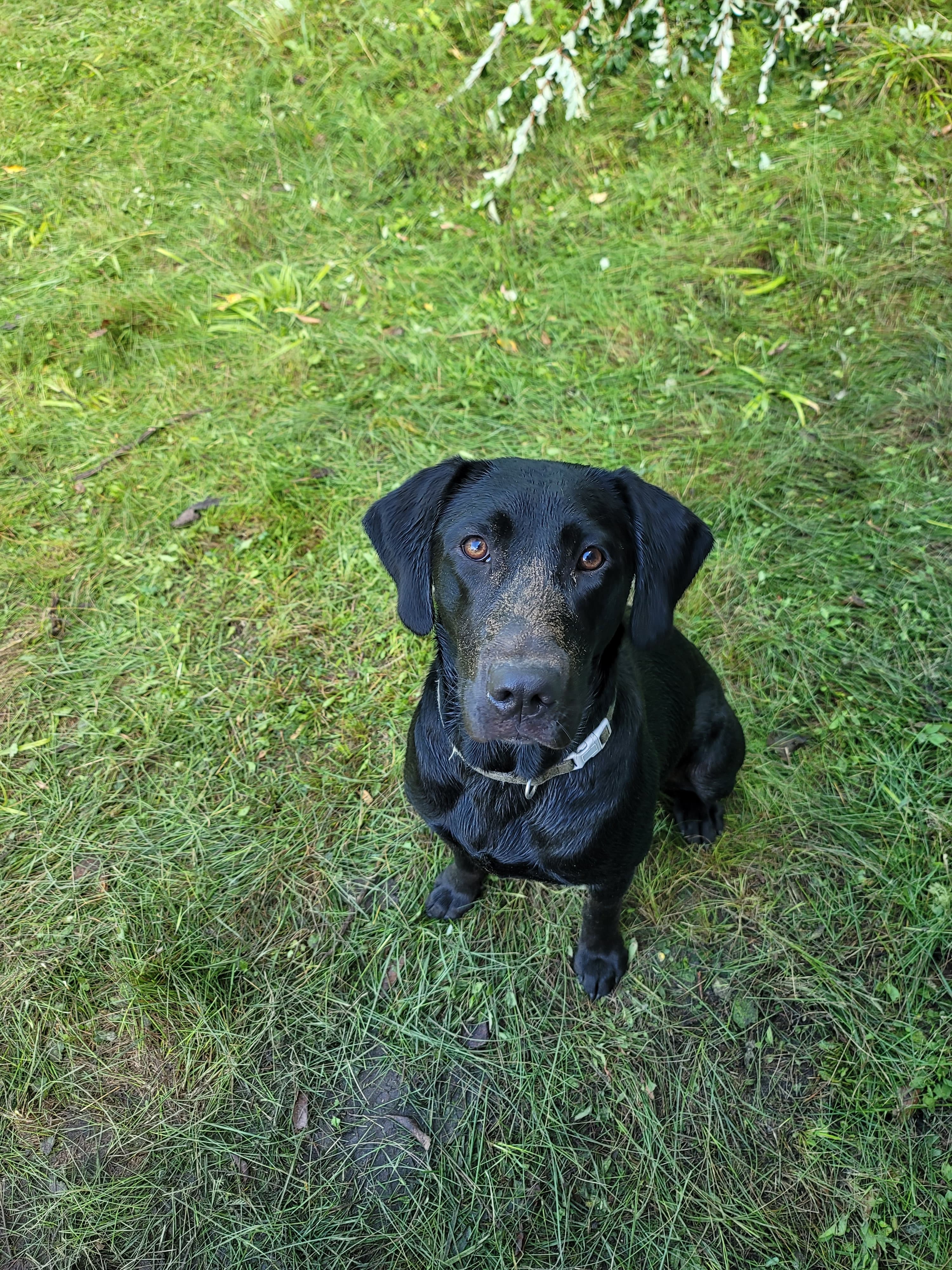 Aumoe profile picture