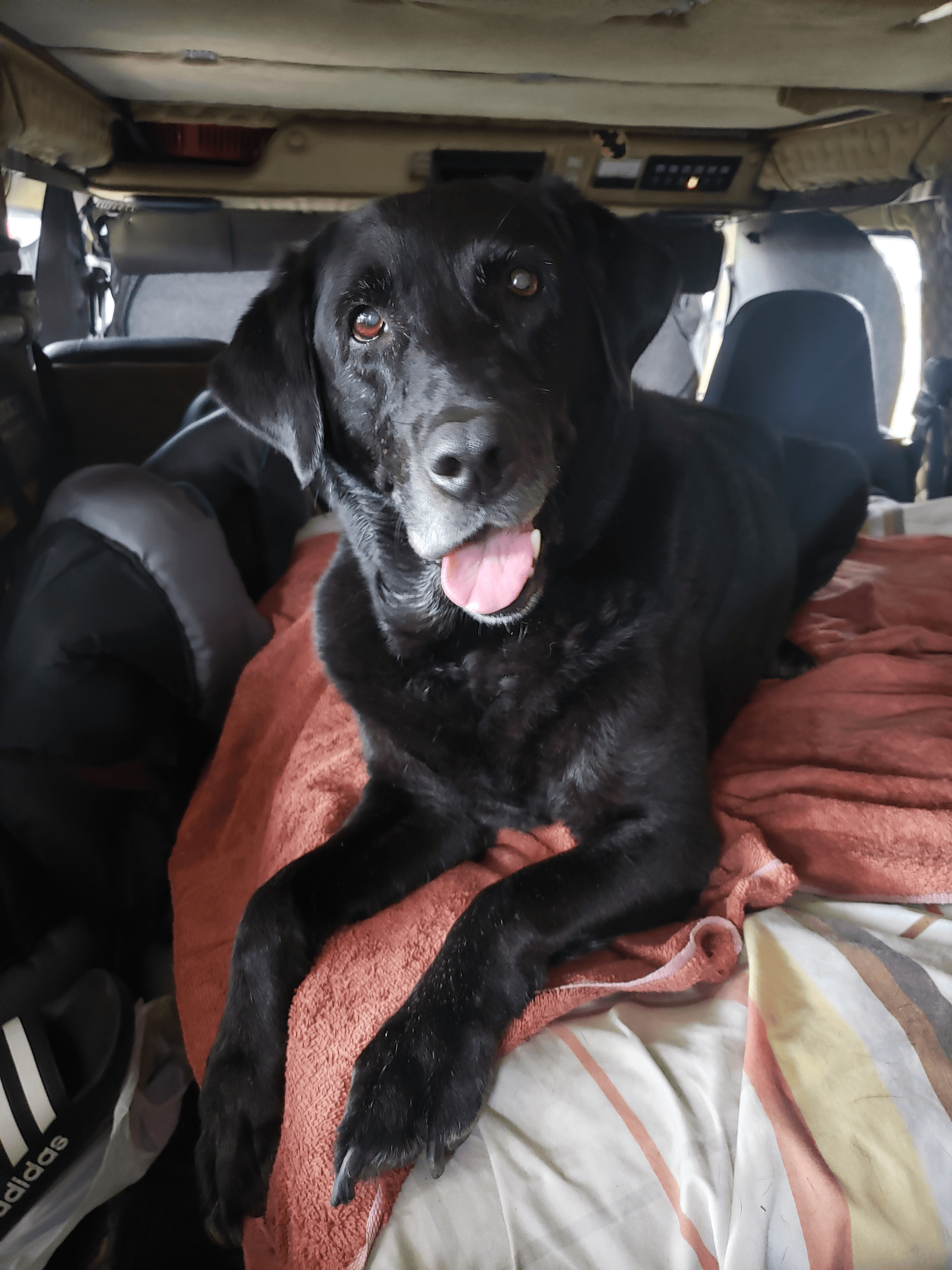 Kloey profile picture