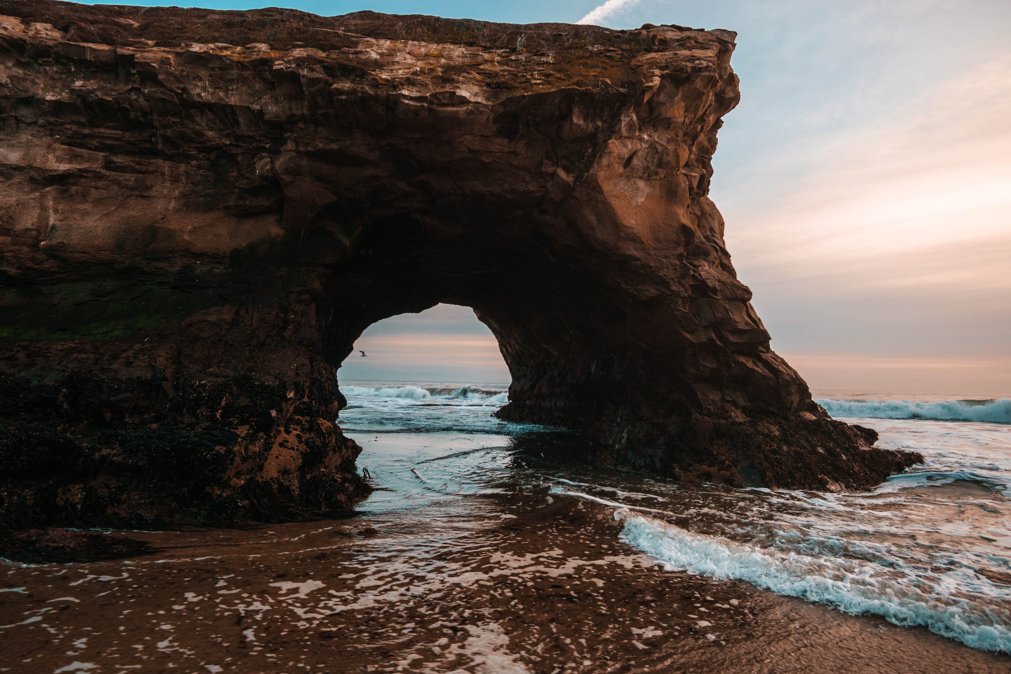 Santa Cruz